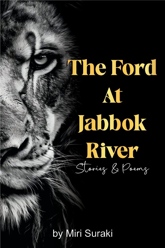 The Ford at Jabbok River book cover